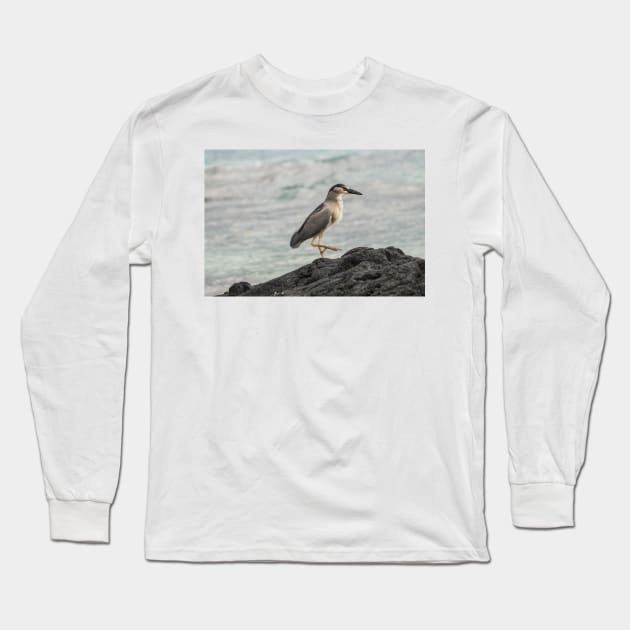 Black-crowned night heron of hawaii 3 Long Sleeve T-Shirt by KensLensDesigns